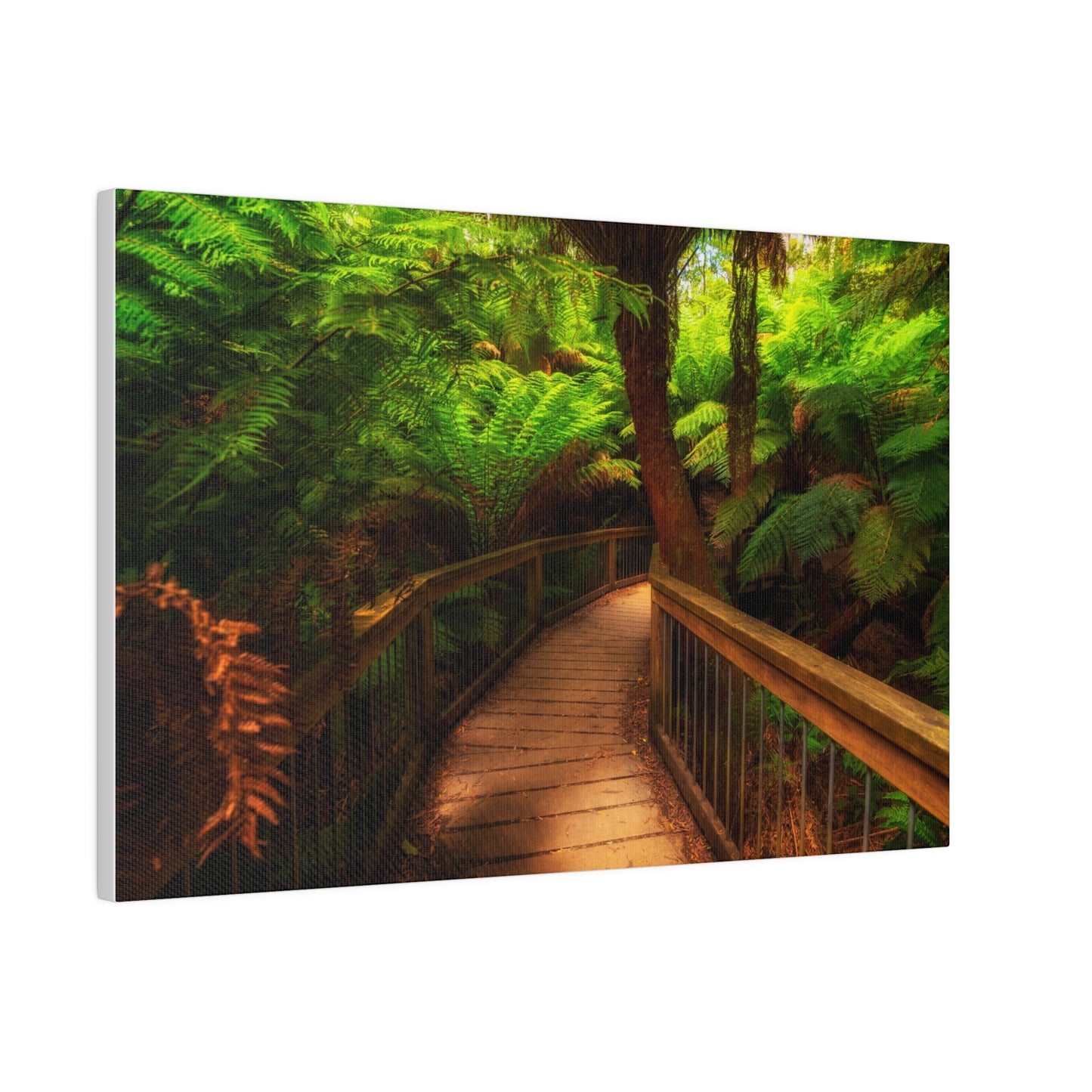 Wooden bridge winding through a lush forest of tall ferns printed on a stretched matte canvas