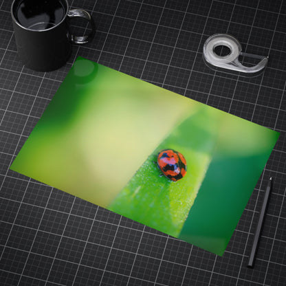 A macro print of a beautiful lady bug