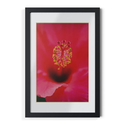 A beautiful hibiscus flower printed on a black framed poster