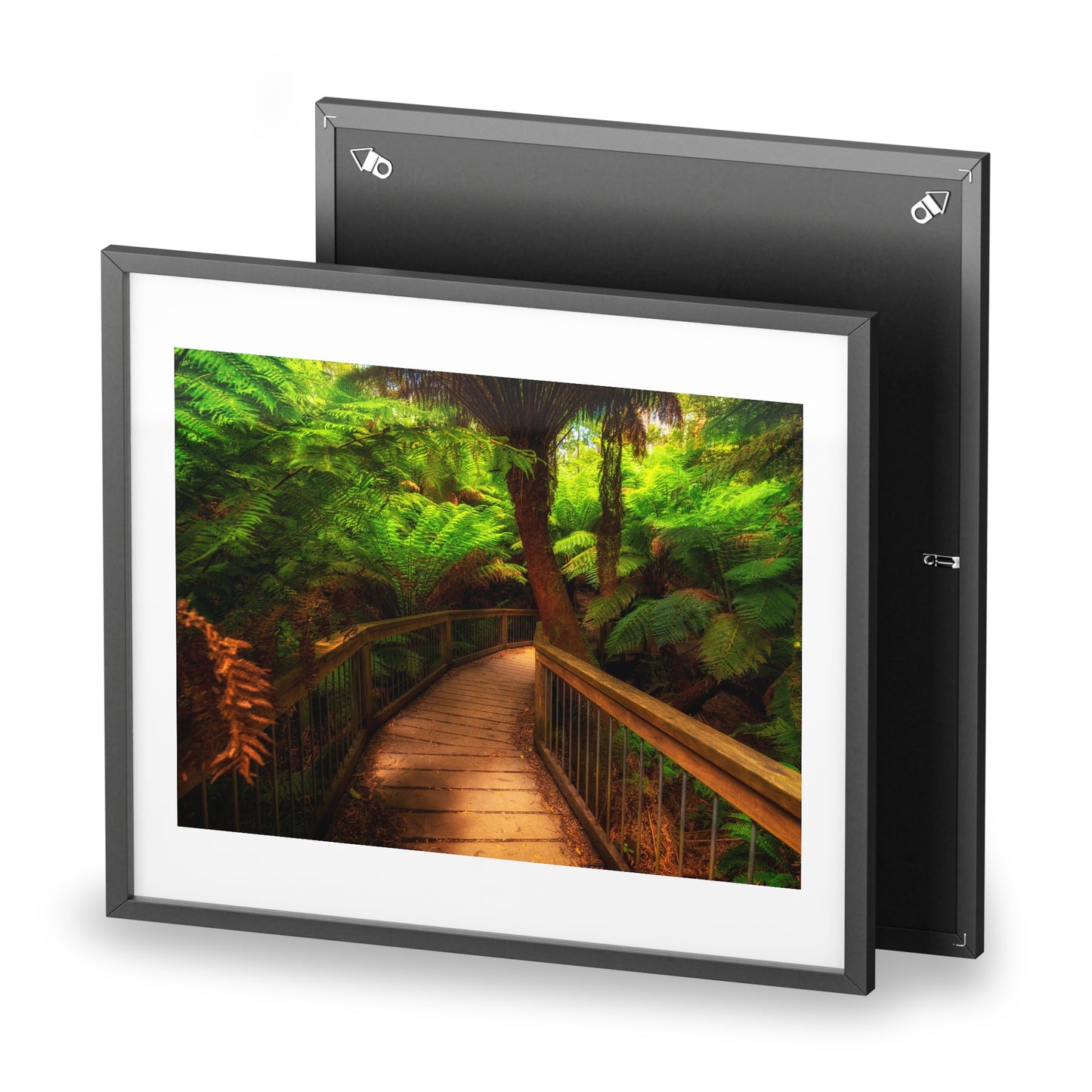 Wooden bridge winding through a lush forest of tall ferns printed on a framed matte poster