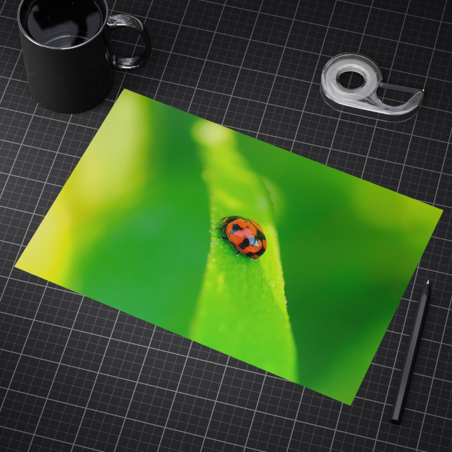 A macro print of a beautiful ladybug