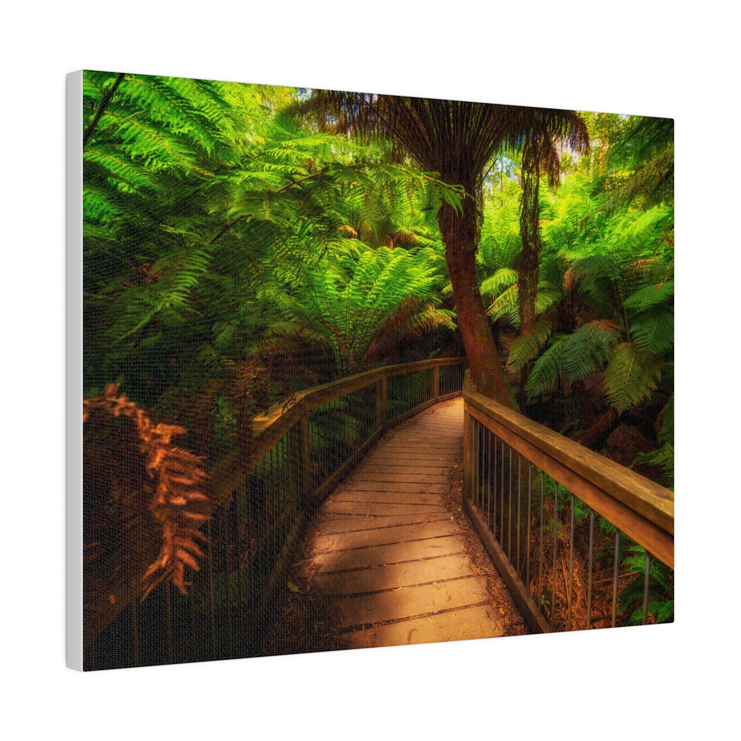 Wooden bridge winding through a lush forest of tall ferns printed on a stretched matte canvas