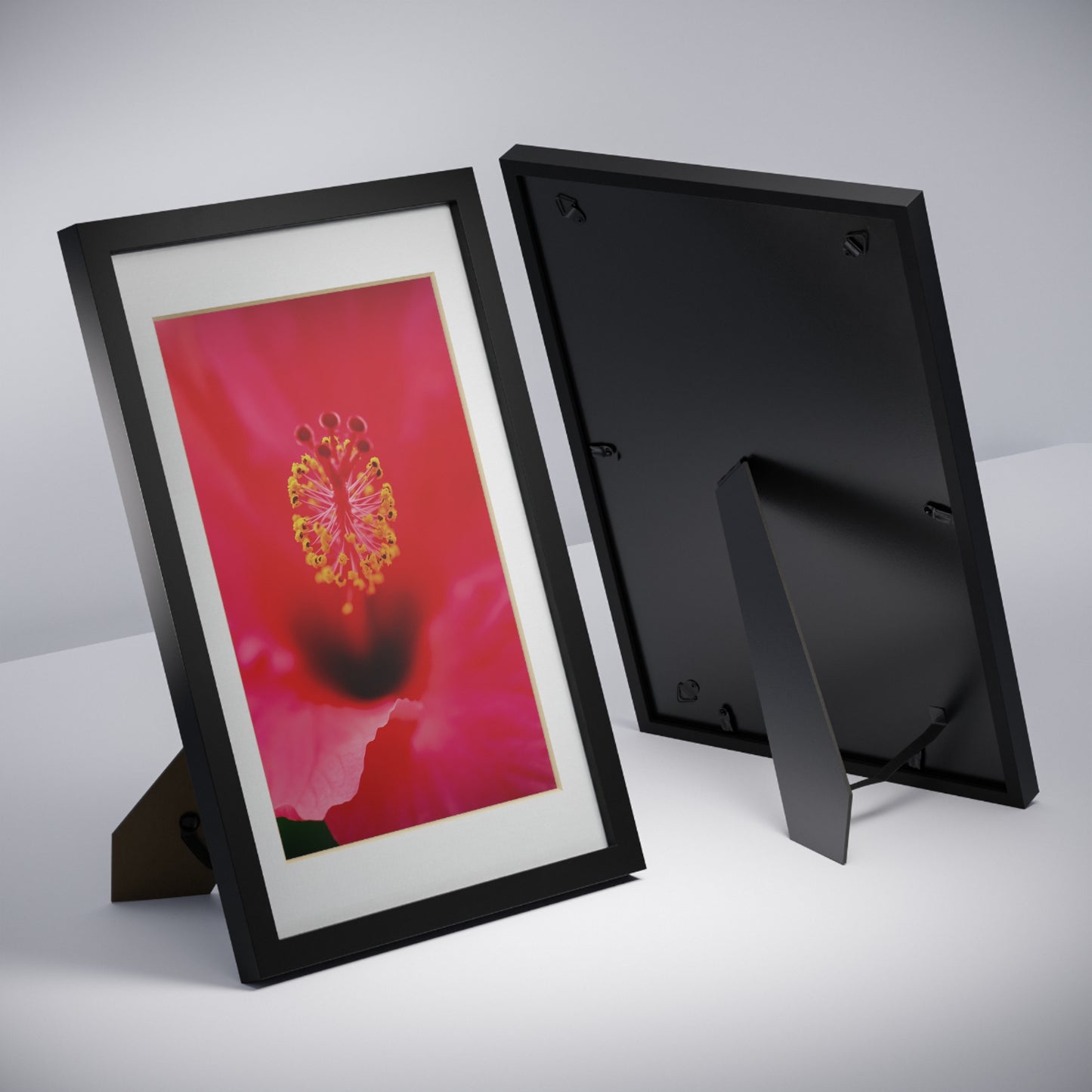 A beautiful hibiscus flower printed on a black framed poster