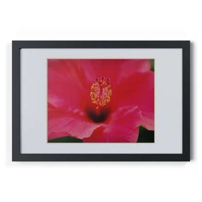 A beautiful hibiscus flower printed on a black framed poster