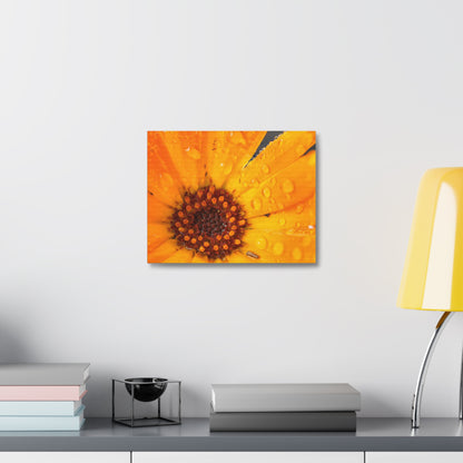 Drenched yellow flower printed on a stretched satin canvas