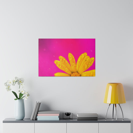Beautiful yellow flower printed in a stretched matte canvas