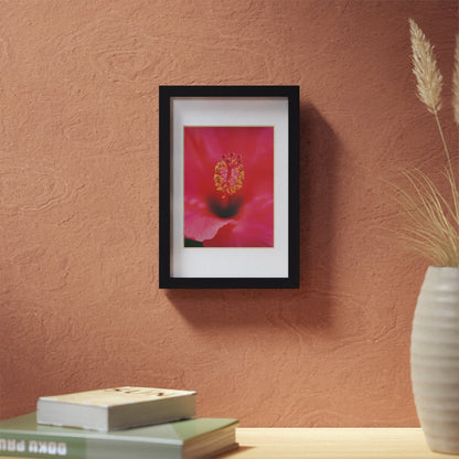 A beautiful hibiscus flower printed on a black framed poster