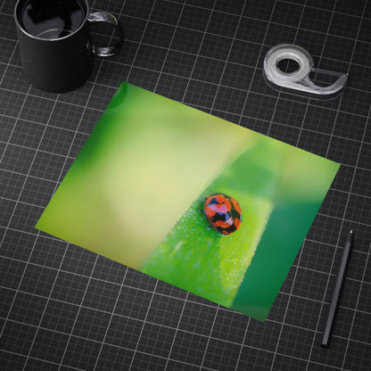 A macro print of a beautiful lady bug