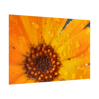 Drenched yellow flower printed on a rollable poster