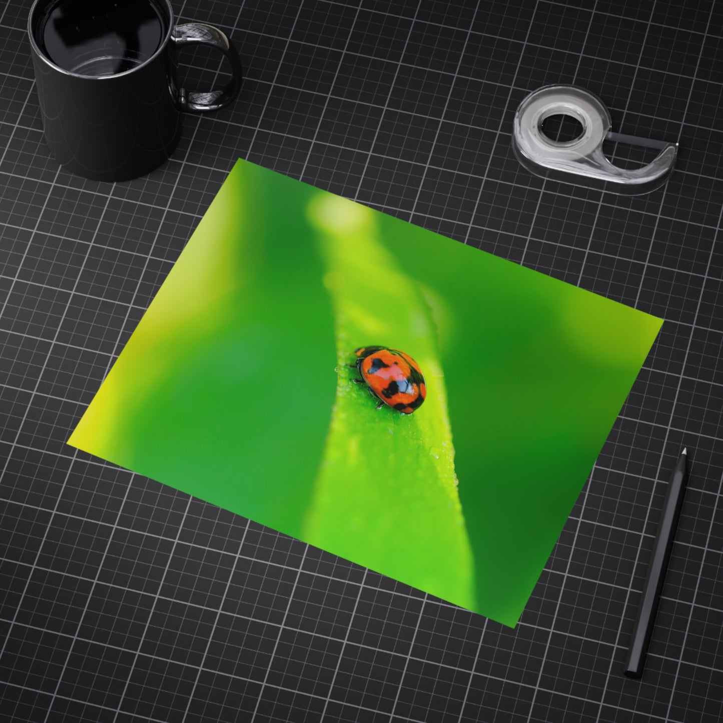 A macro print of a beautiful ladybug