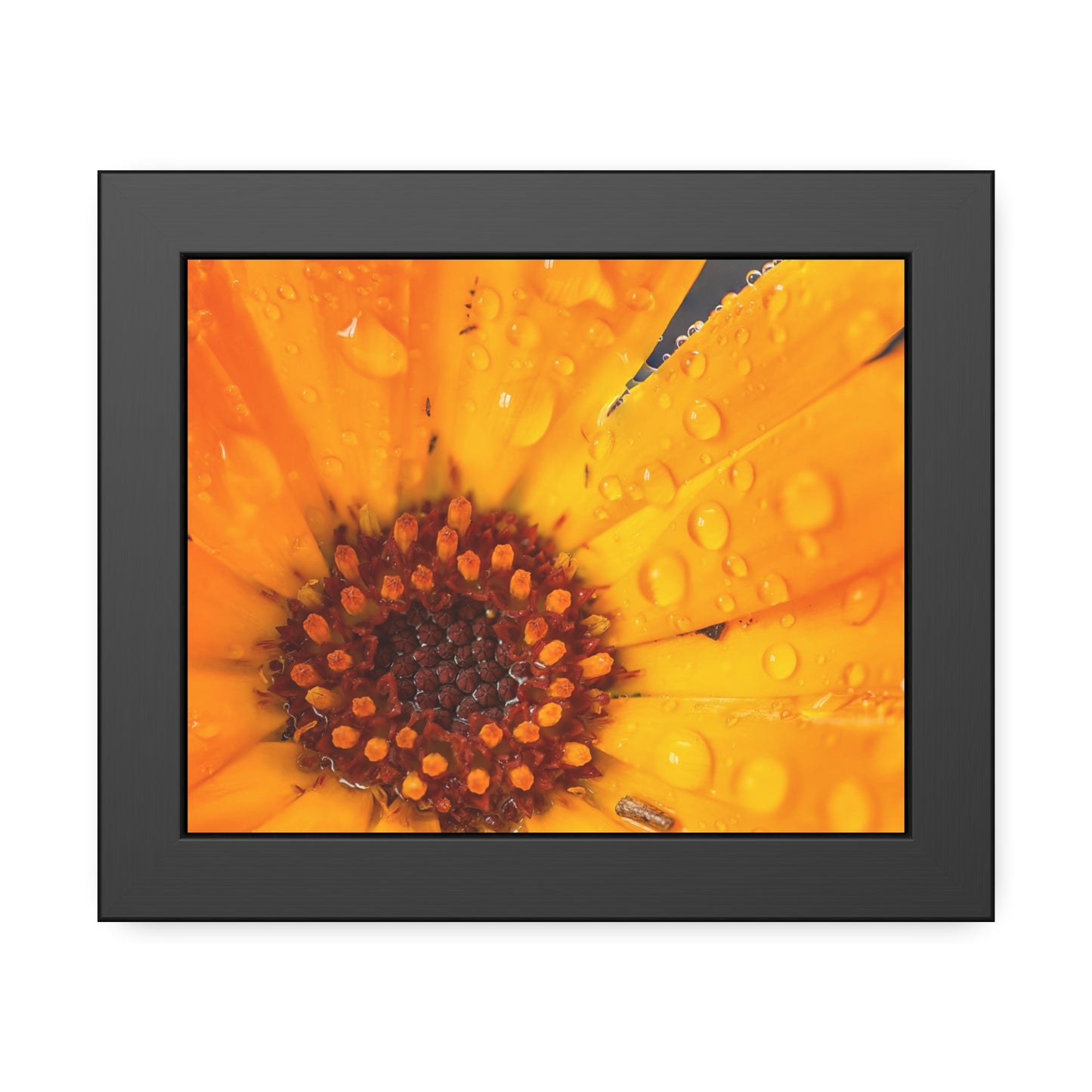 Drenched yellow flower printed on a framed paper poster