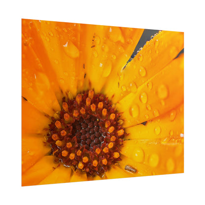 Drenched yellow flower printed on a rollable poster