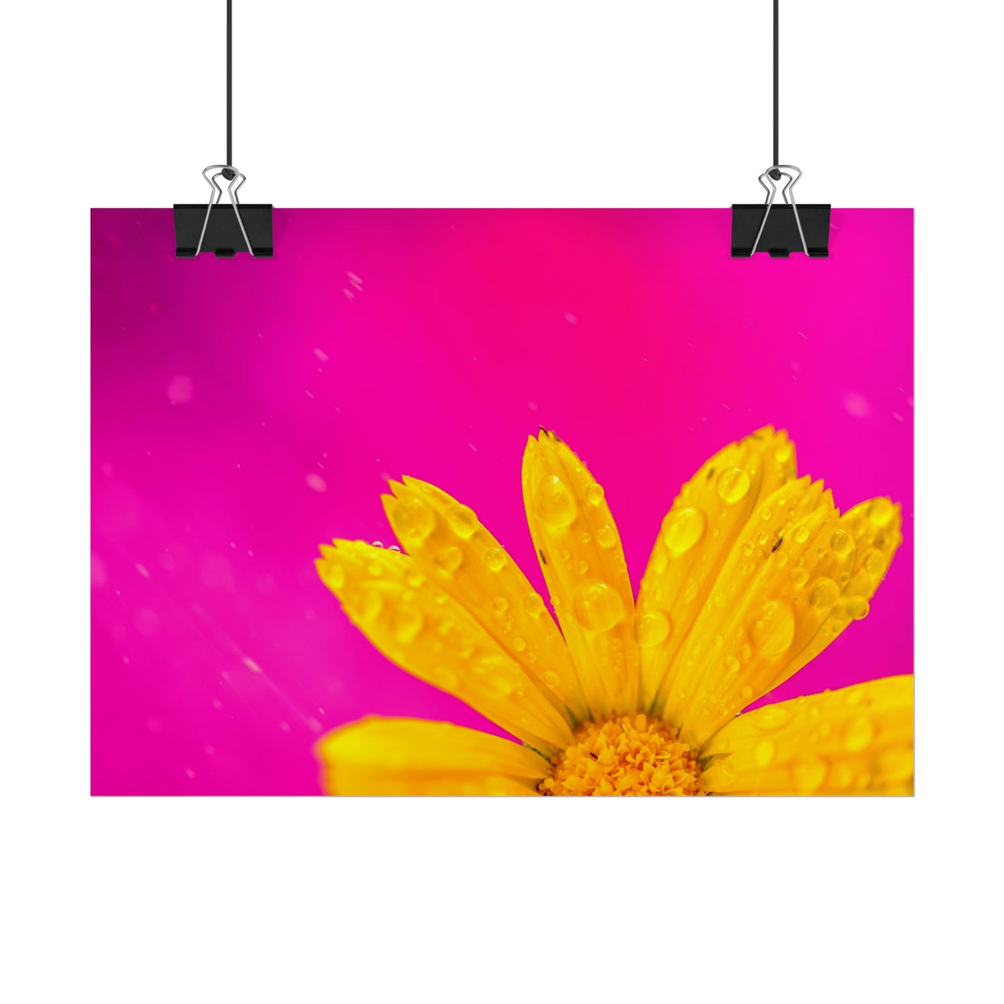 Beautiful yellow flower printed on rollable poster