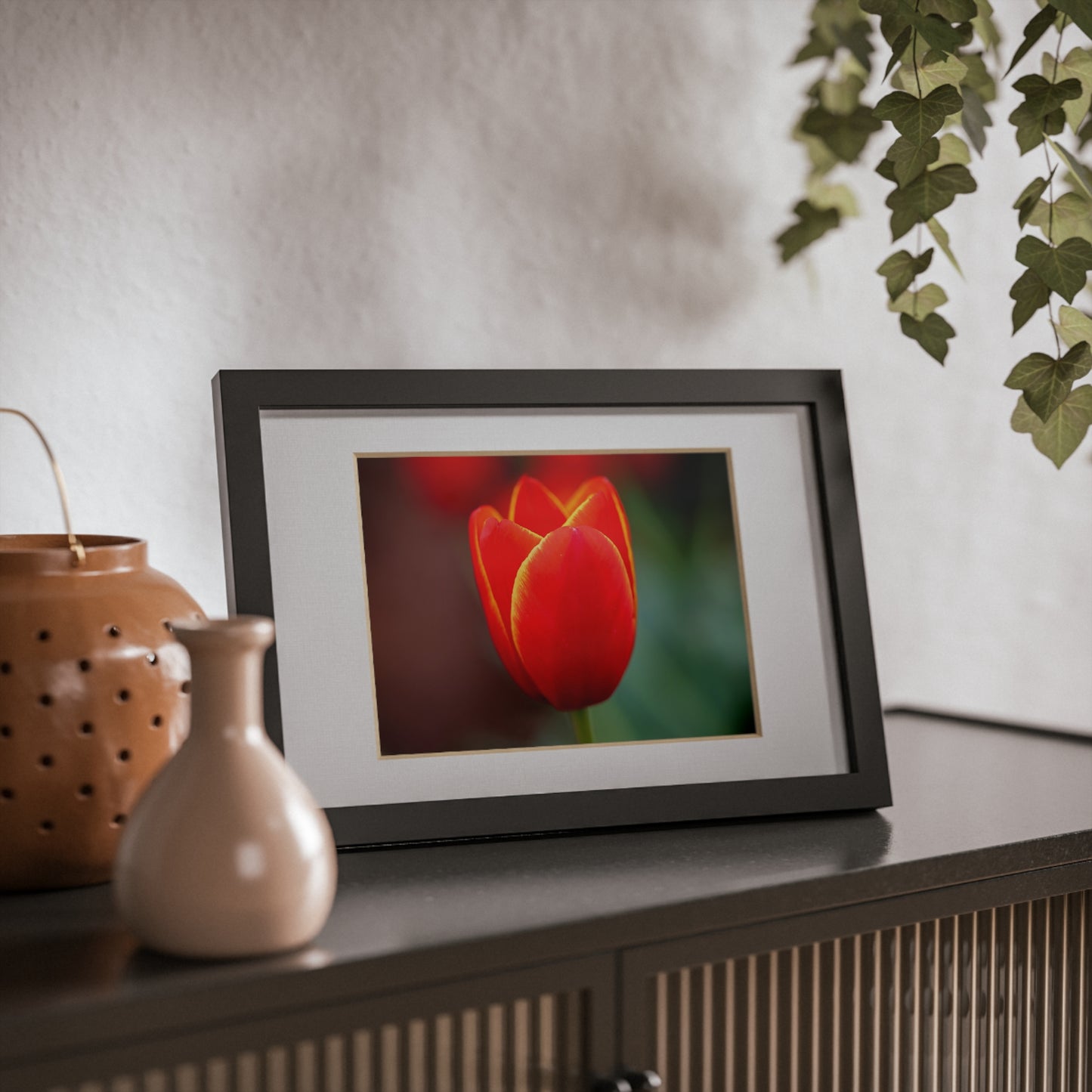 Fiery red and yellow tulip in a black framed poster