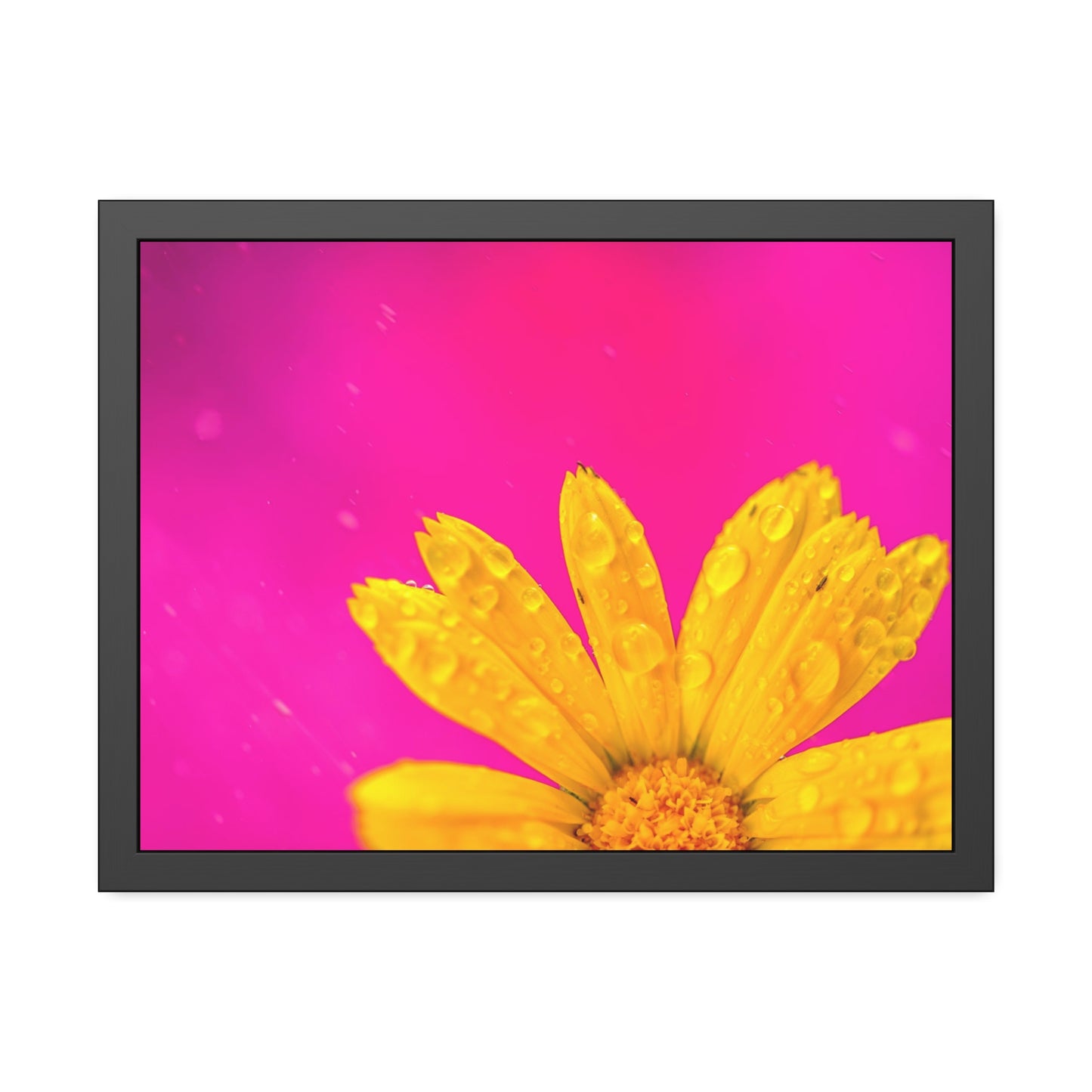 Beautiful yellow flower printed on a framed paper poster