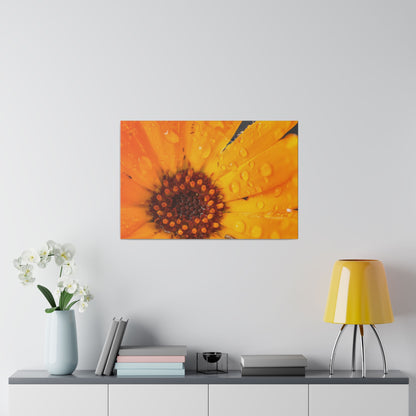 Orange flower petals drenched in dew printed on a stretched matte canvas
