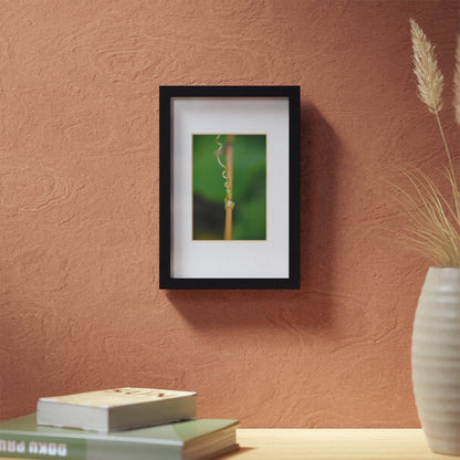 Nature's grip! A stunning macro print on a stretched matte canvas