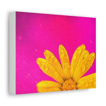 Beautiful yellow flower printed on a stretched satin canvas