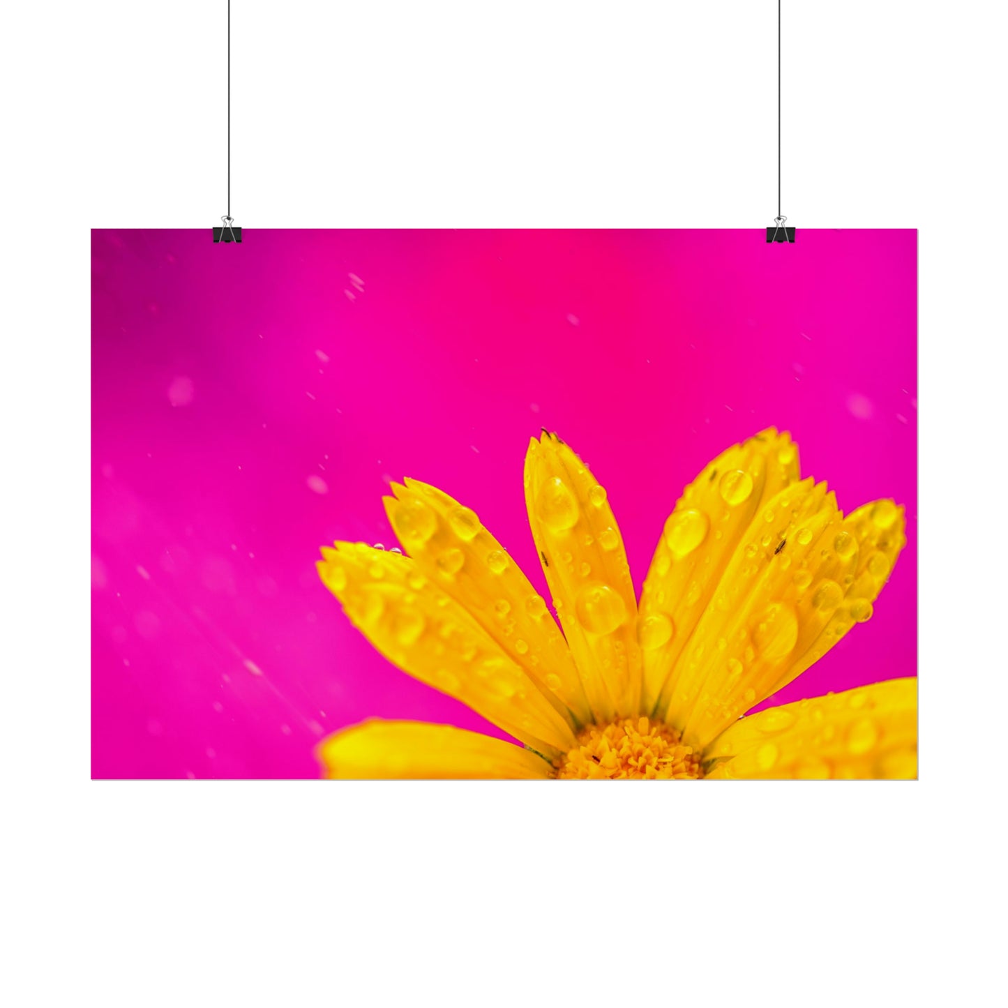 Beautiful yellow flower printed on rollable poster