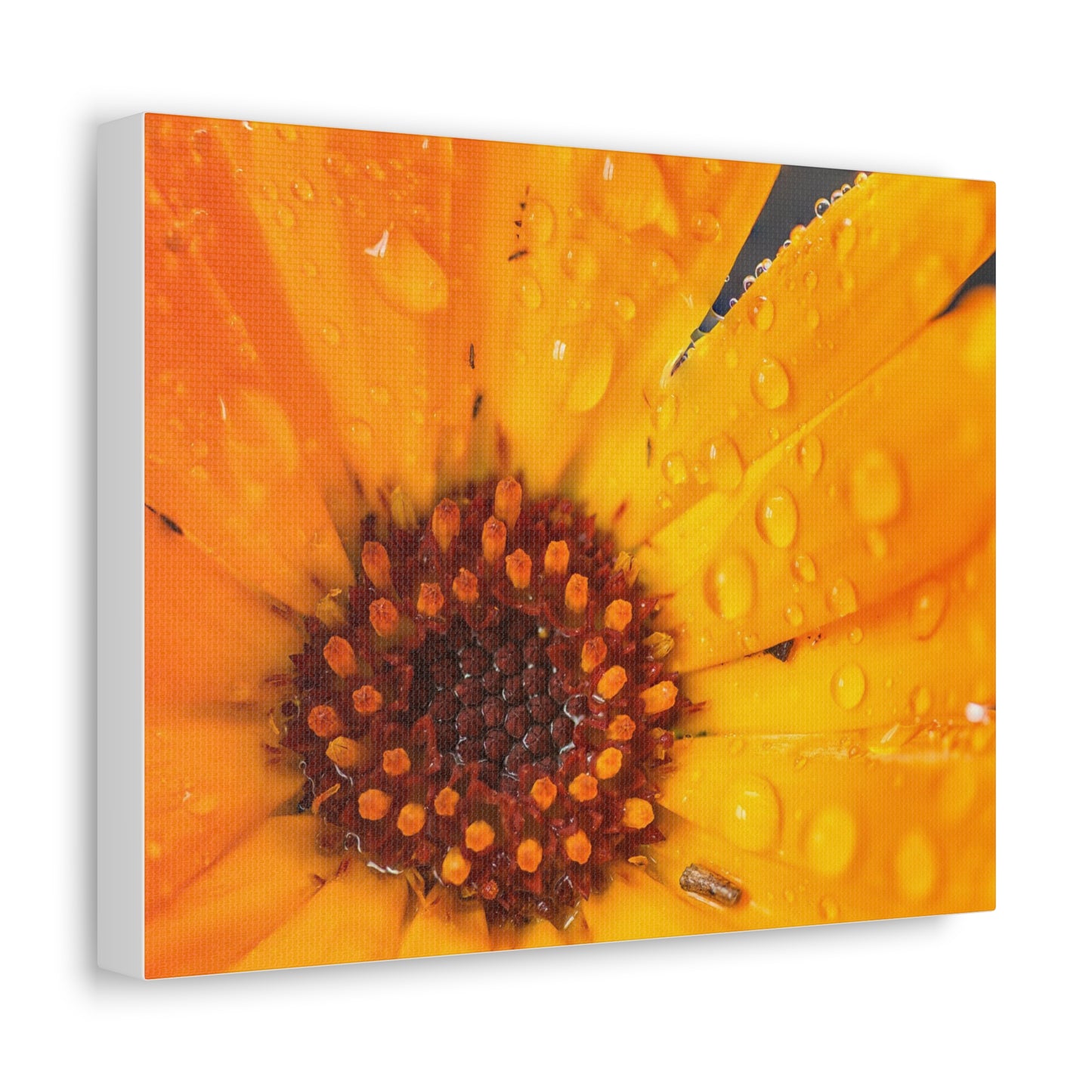 Drenched yellow flower printed on a stretched satin canvas