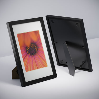 Colorful daisy printed on a black framed posters