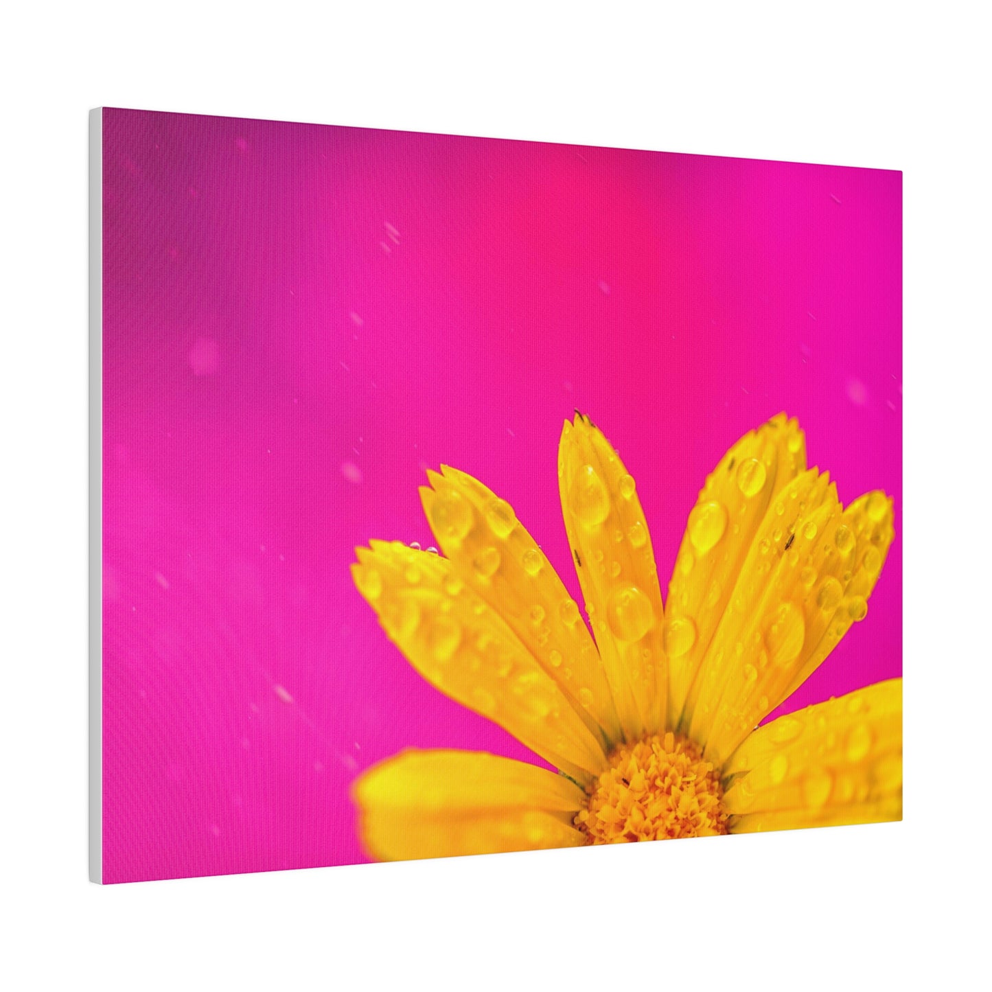 Beautiful yellow flower printed in a stretched matte canvas