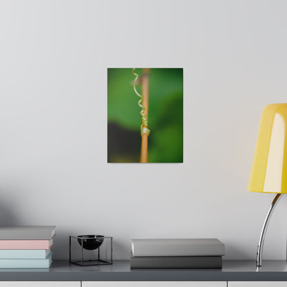 Nature's grip! A stunning macro print in a stretched matte canvas