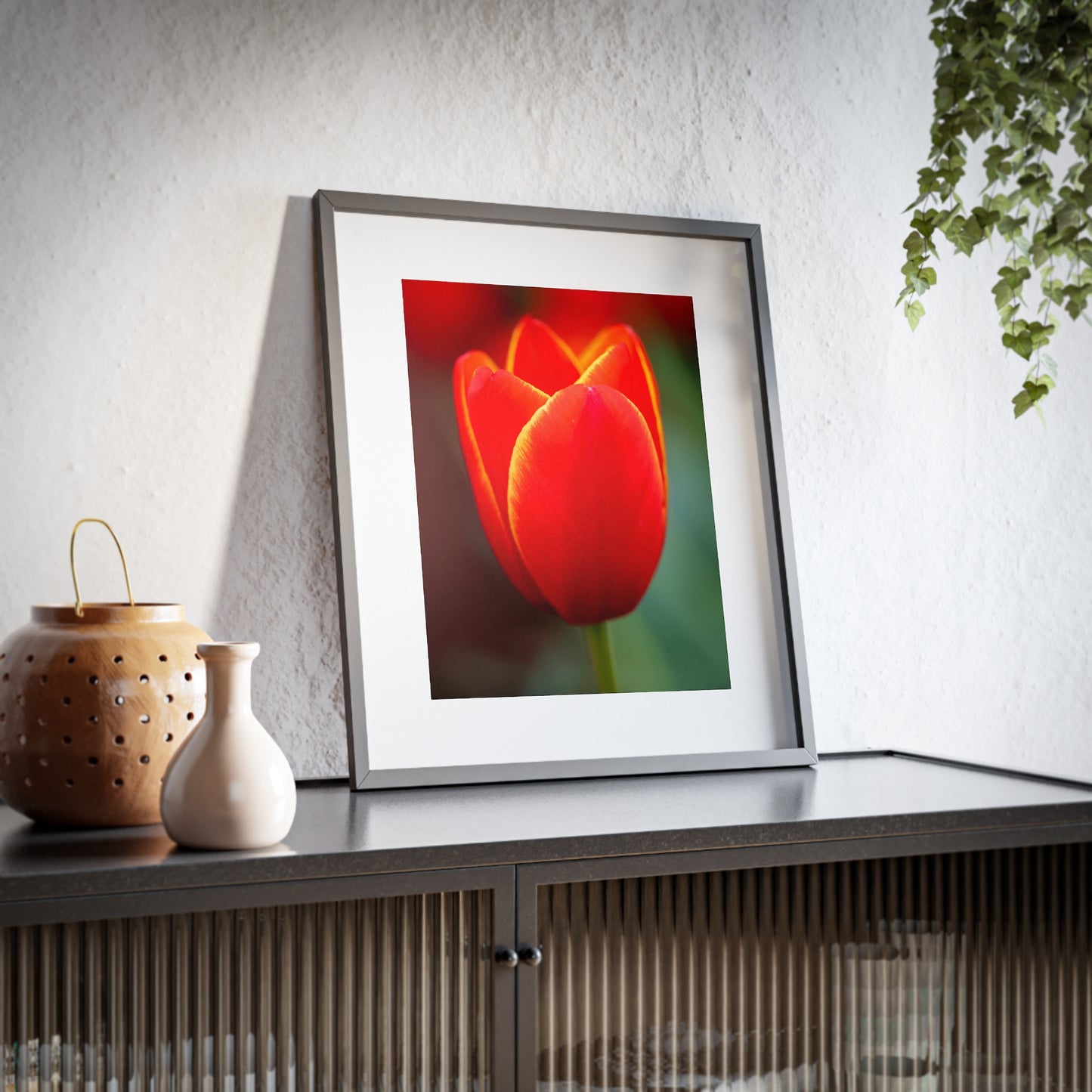 Fiery red and yellow tulip on a framed matte  poster