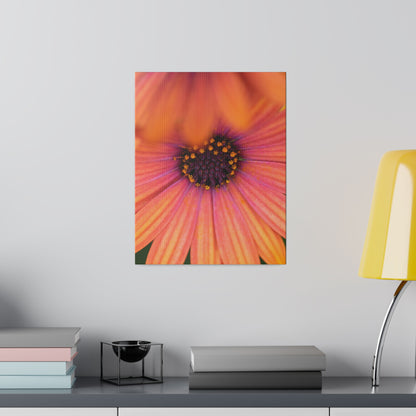 Colorful daisy printed on a stretched matte canvas