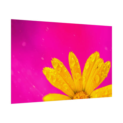 Beautiful yellow flower printed on rollable poster