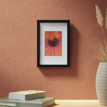 Colorful daisy printed on a black framed posters