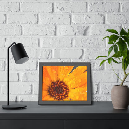 Drenched yellow flower printed on a framed paper poster