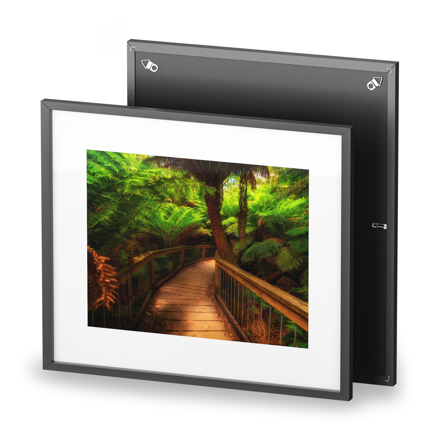 Wooden bridge winding through a lush forest of tall ferns printed on a framed matte poster