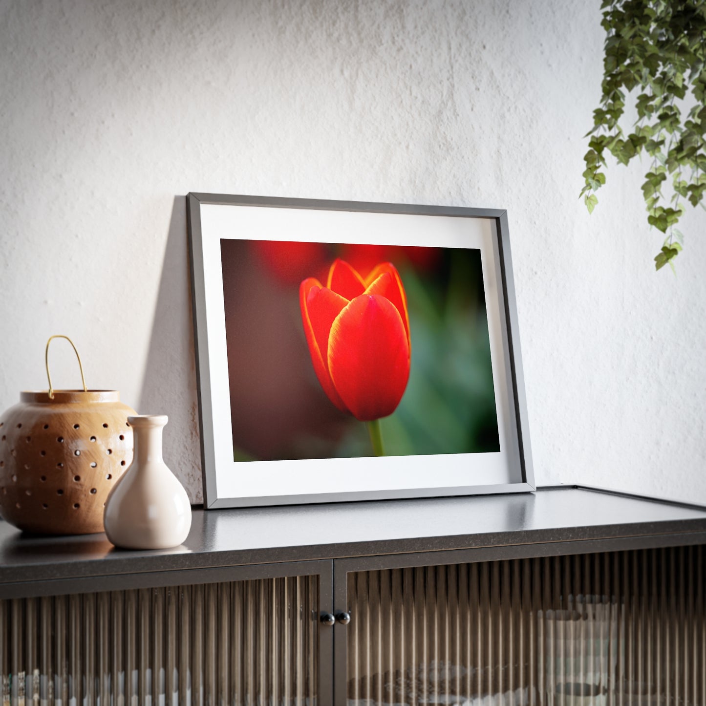 Fiery red and yellow tulip on a framed matte  poster