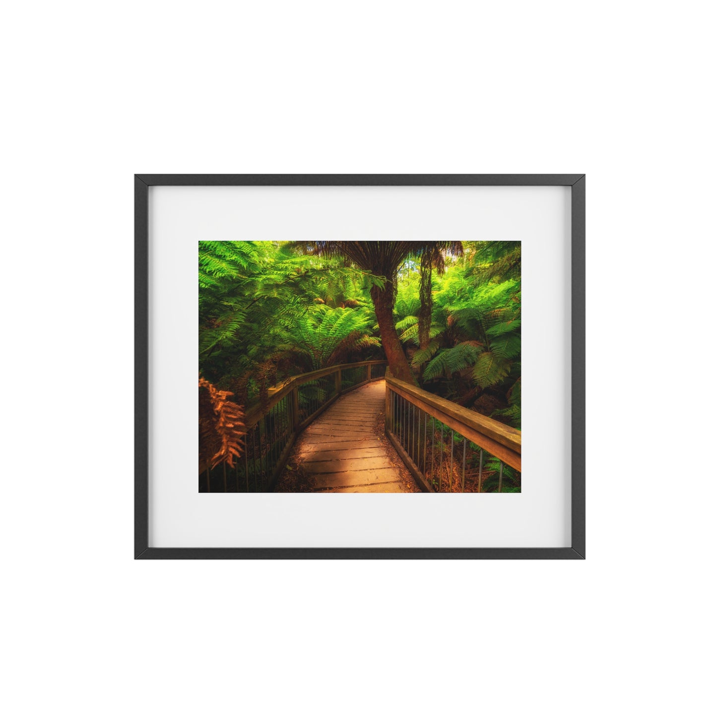 Wooden bridge winding through a lush forest of tall ferns printed on a framed matte poster