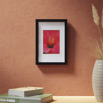 A beautiful hibiscus flower printed on a black framed poster