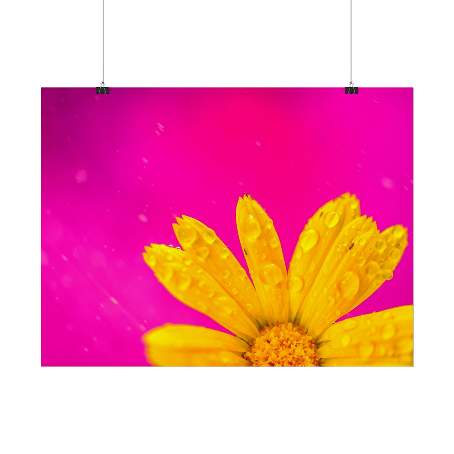 Beautiful yellow flower printed on rollable poster