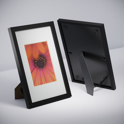 Colorful daisy printed on a black framed posters