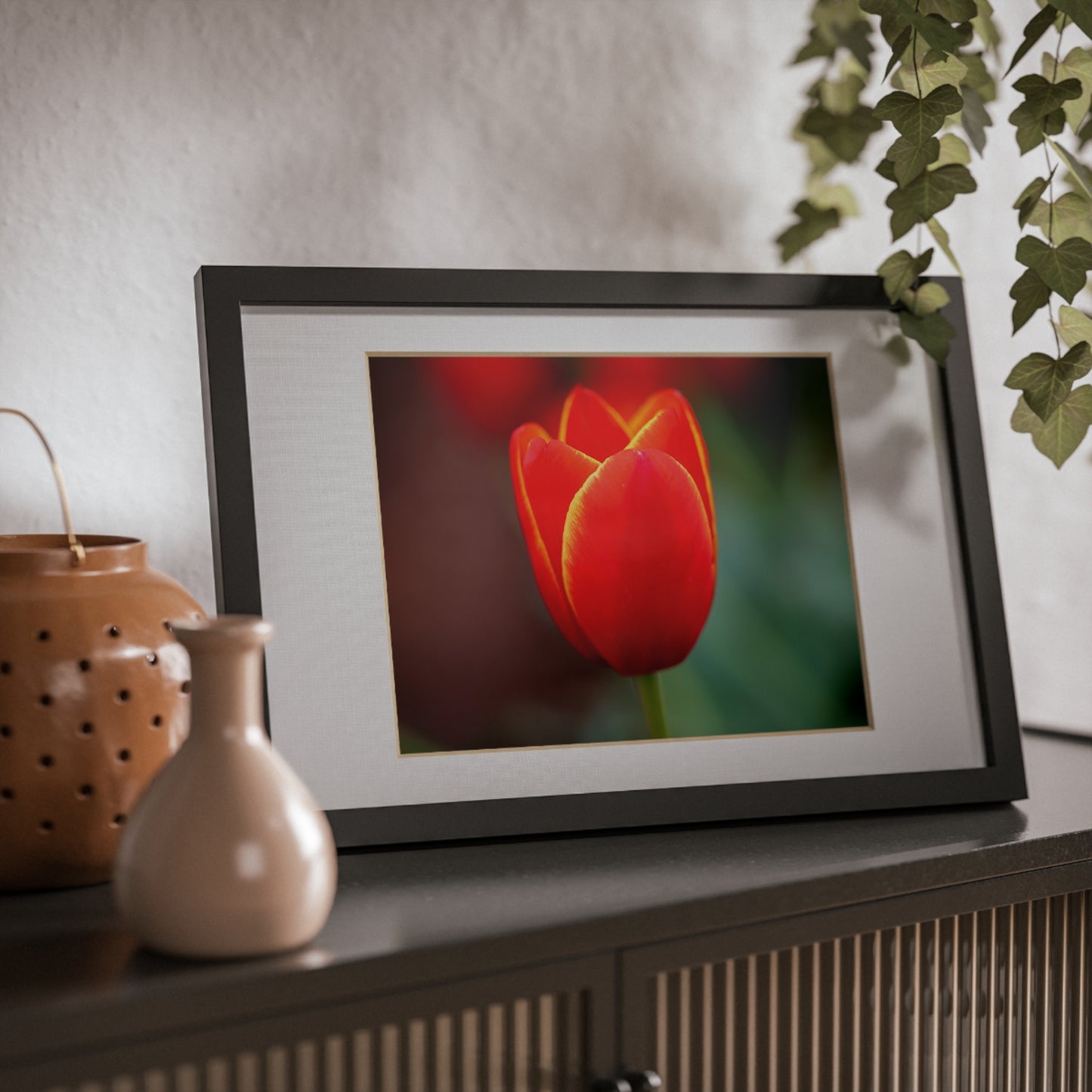 Fiery red and yellow tulip in a black framed poster