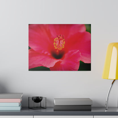 A beautiful hibiscus flower printed on a stretched matte canvas