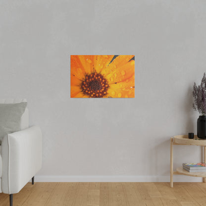 Orange flower petals drenched in dew printed on a stretched matte canvas