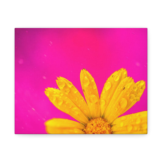Beautiful yellow flower printed on a stretched satin canvas