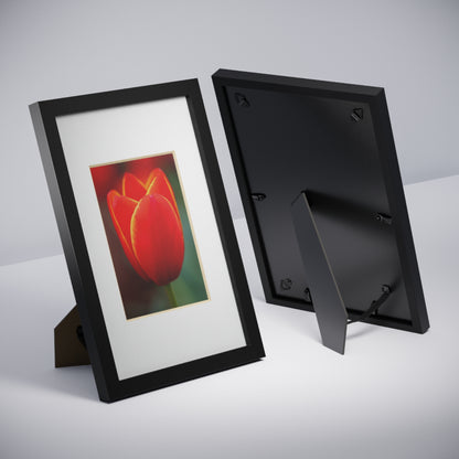 Fiery red and yellow tulip in a black framed poster