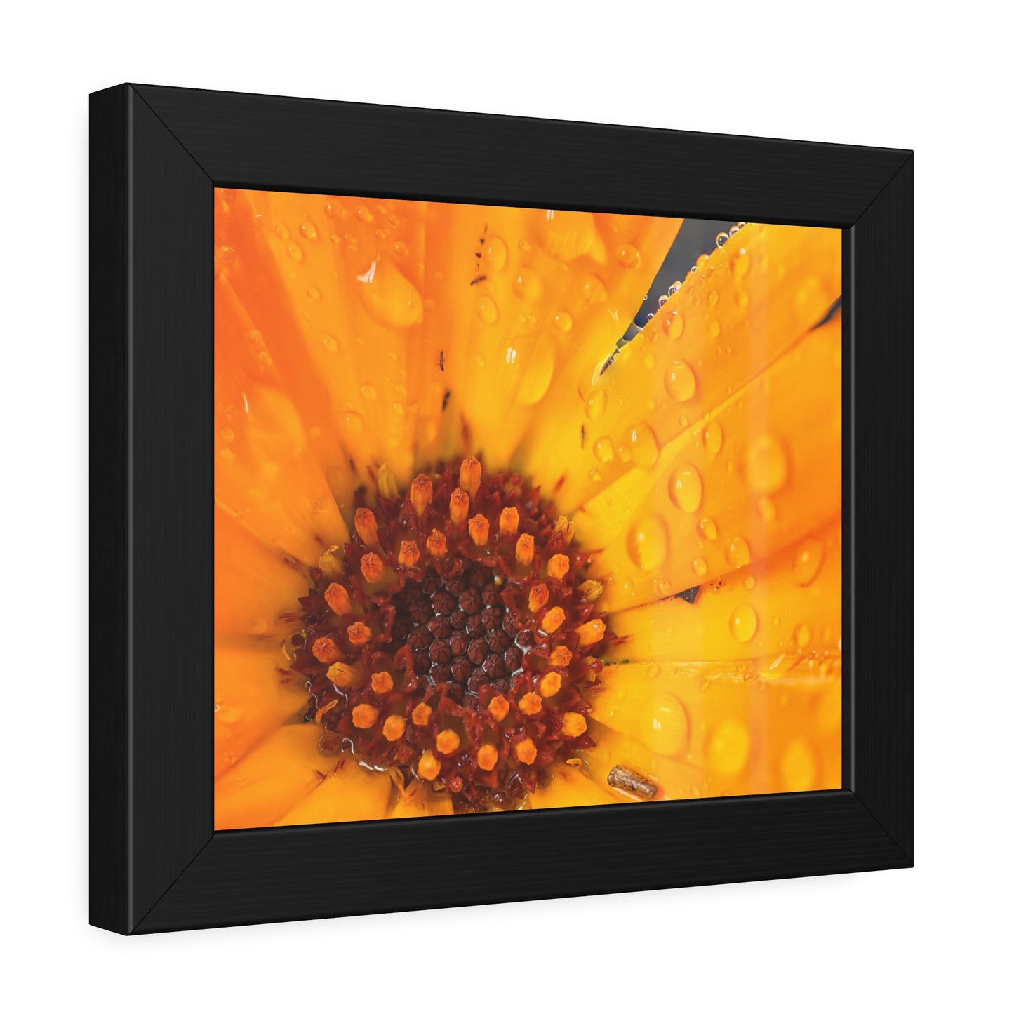 Drenched yellow flower printed on a framed paper poster