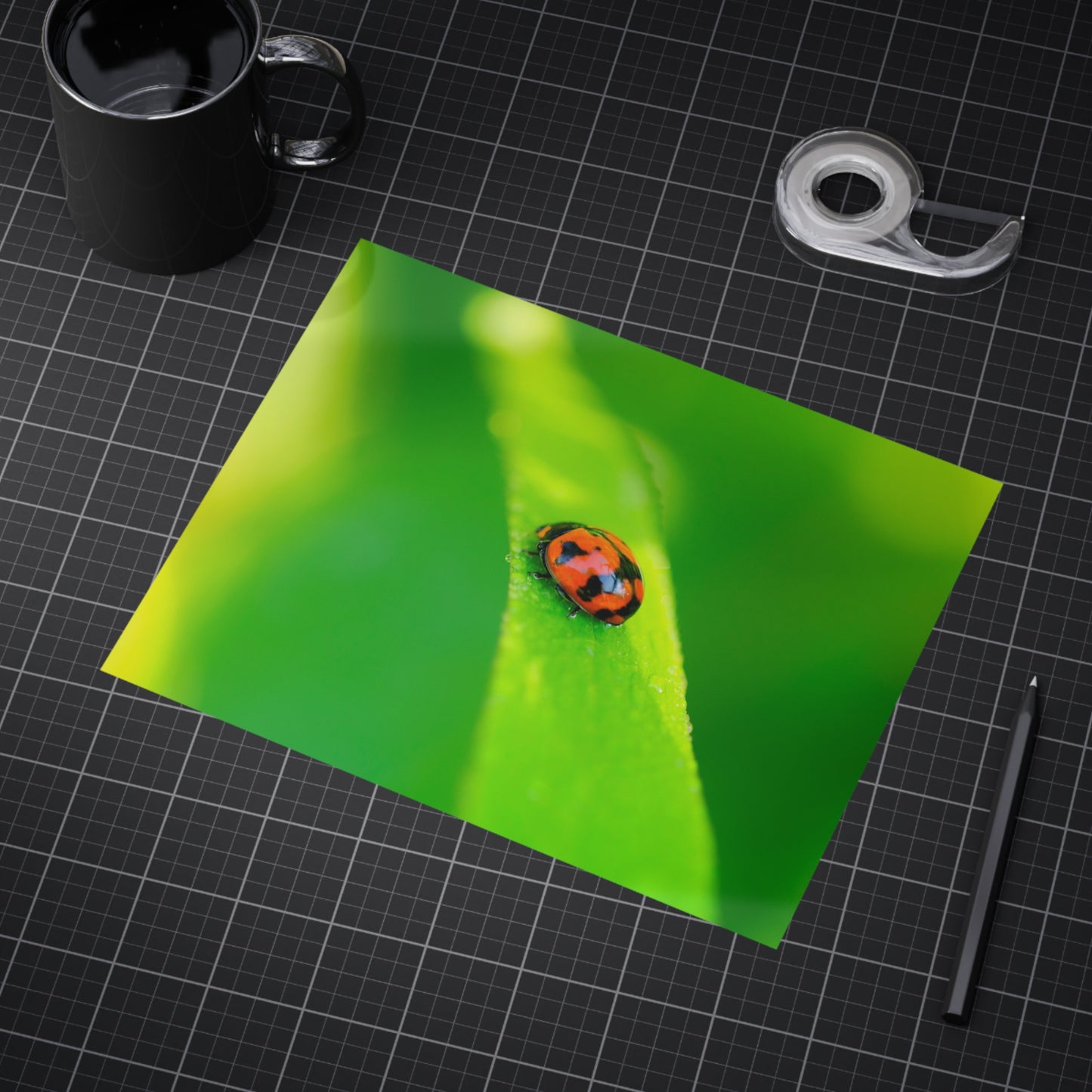 A macro print of a beautiful ladybug