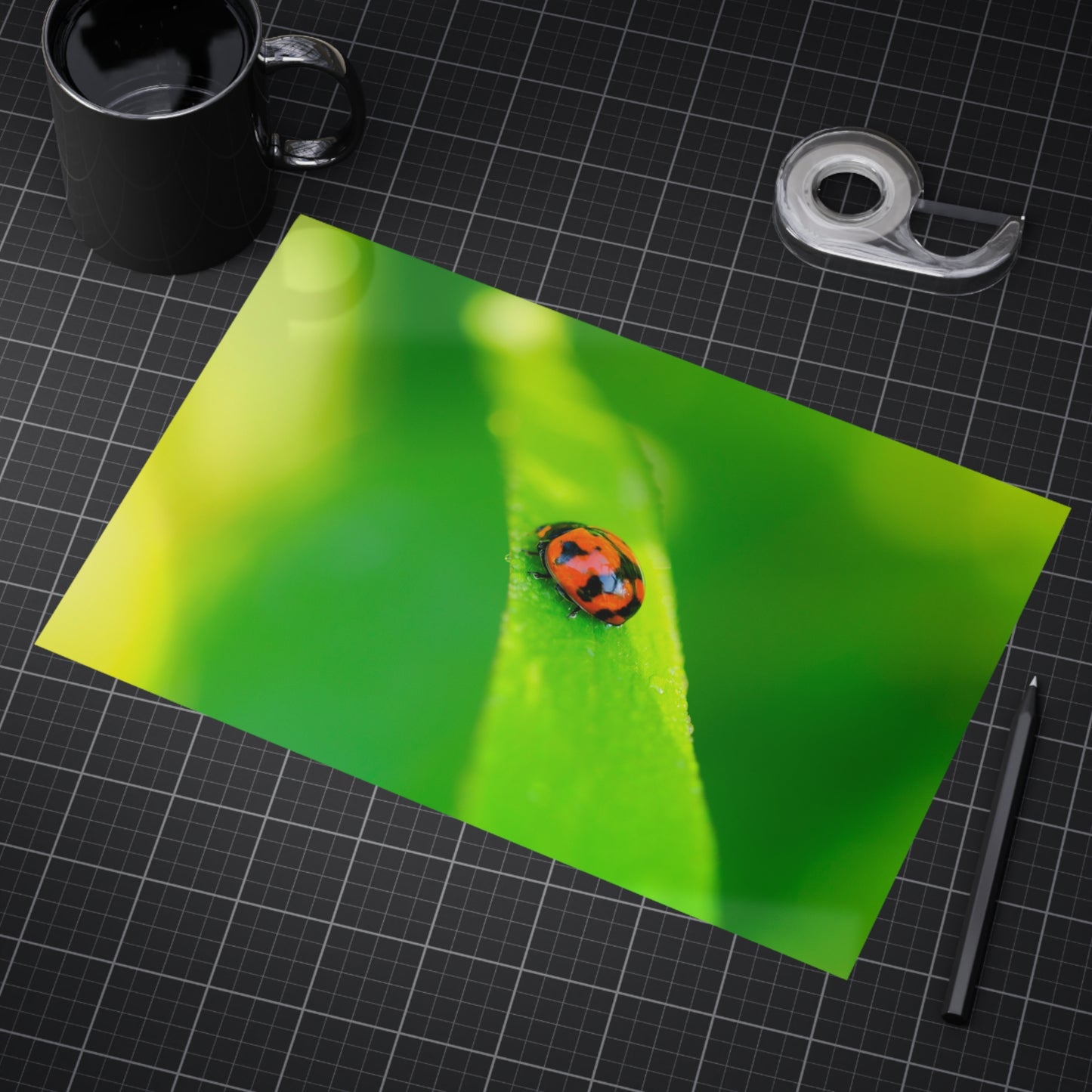 A macro print of a beautiful ladybug