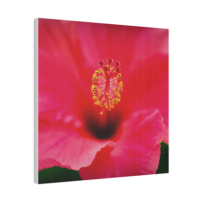 A beautiful hibiscus flower printed on a stretched matte canvas