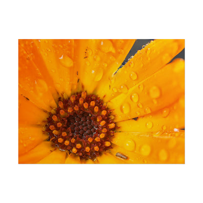 Drenched yellow flower printed on a rollable poster