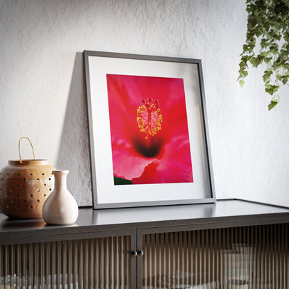 A beautiful hibiscus flower printed on a framed matte poster