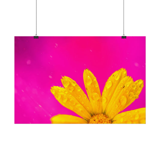 Beautiful yellow flower printed on rollable poster
